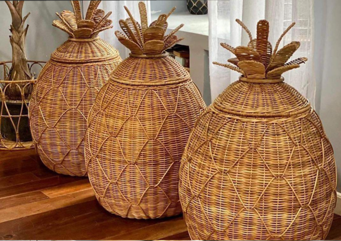 PINYA